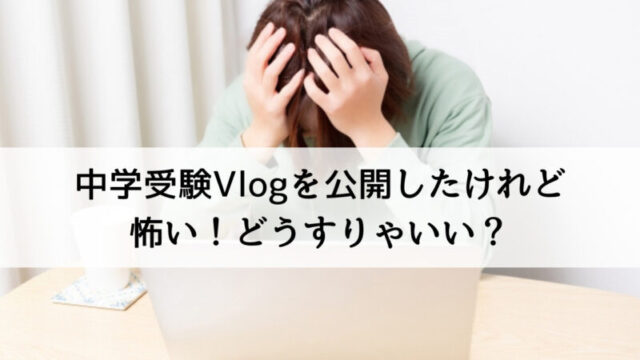 どうすりゃいいの？Vlog問題